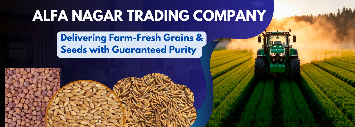 Alfa Nagar Trading Company