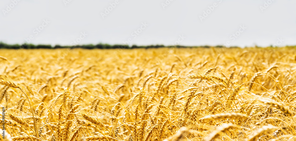 Agri Fiber Solutions