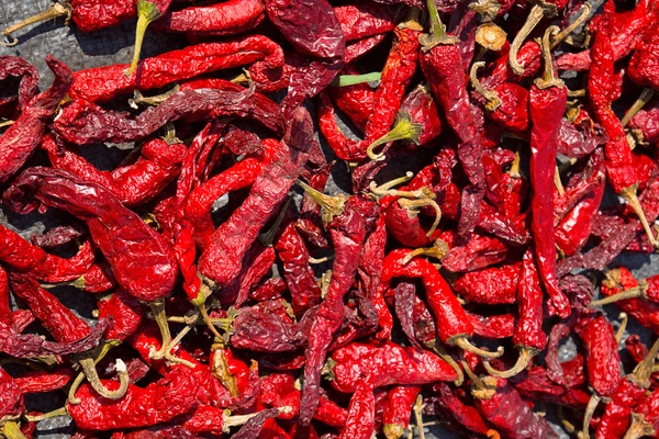 Varuna Exports
