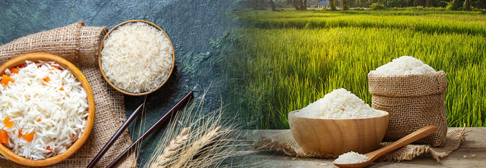 BRAHMANDNAYAK IMPORT AND EXPORT