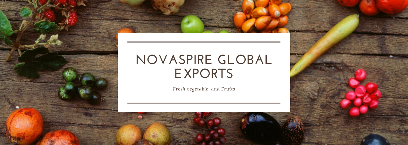 Novaspire global exports