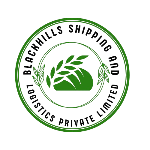 BLACKHILLS SHIPPING AND LOGISTICS PRIVATE LIMITED