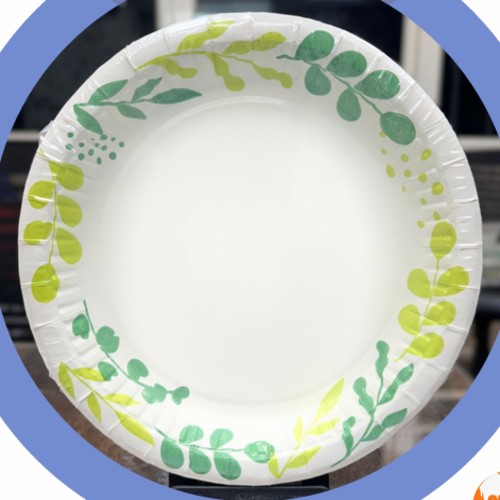 9-inch Deep Paper Plates