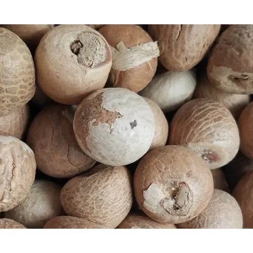 Betel Nuts