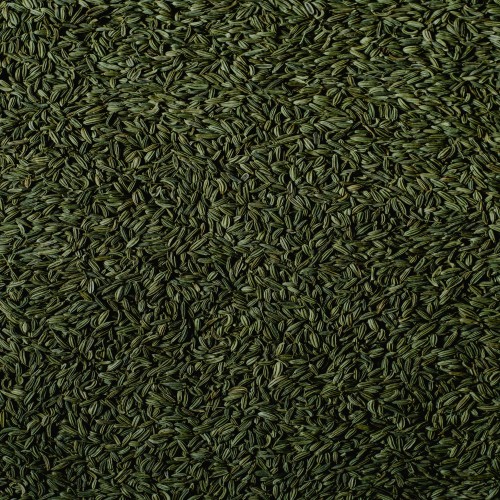 Fennel Seeds