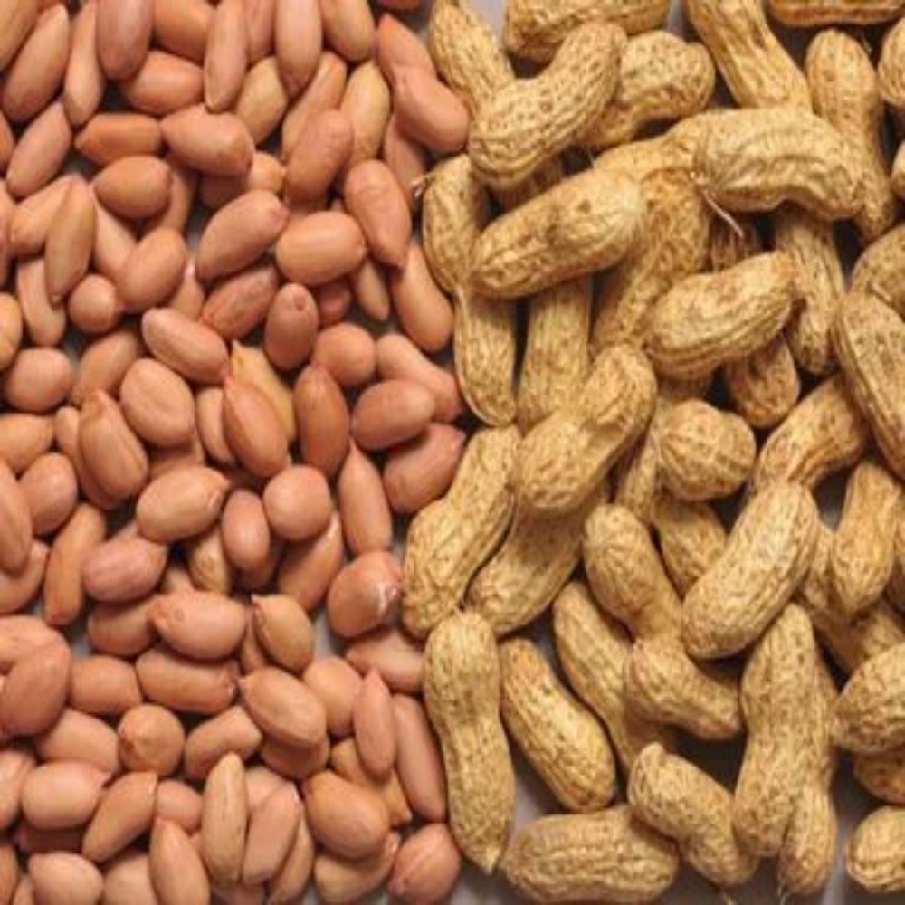 GROUNDNUTS