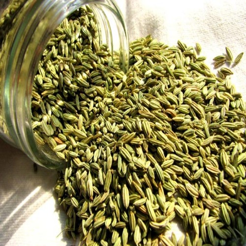 Fennel Seeds (1)