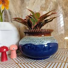 Ceramic Planter