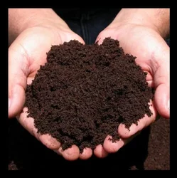 Vermi Compost