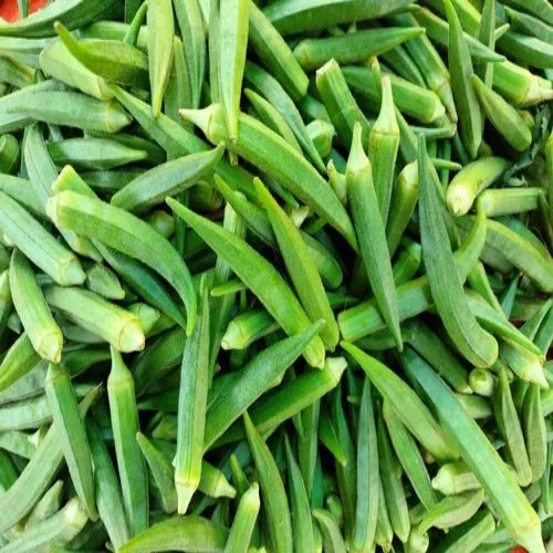 Lady Finger (Bhindi)