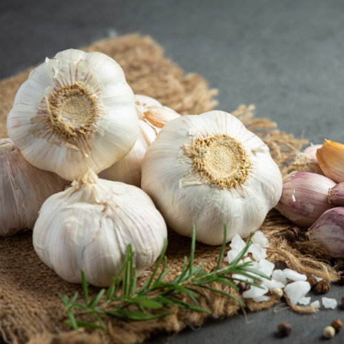 Fresh Garlic 2