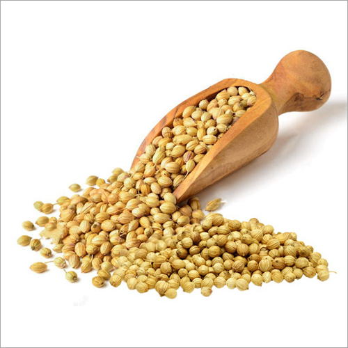 Coriander Seed