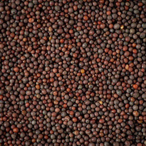 Mustard Seeds