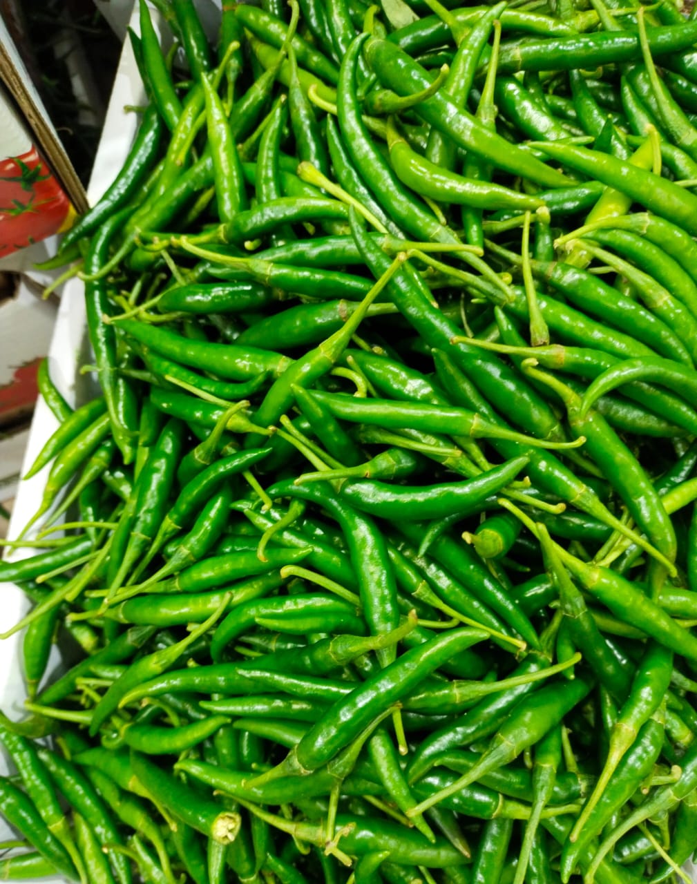 Fresh G4 Green Chilli (Gouri, Teza,..
