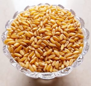 organic-bansi-wheat