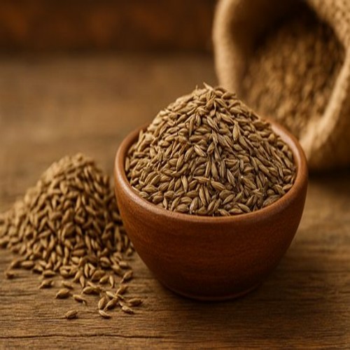 Cumin Seeds (1)