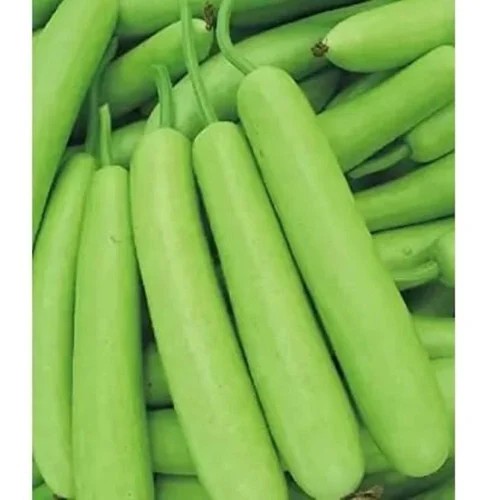 Bottle Gourd (Lauki)