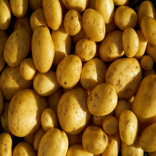 Potato 2