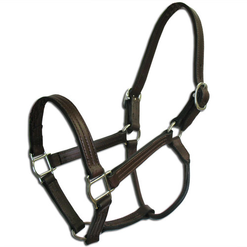 Halters