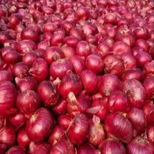 Onion(Red)