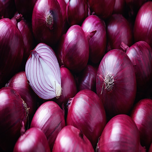 KK Onion