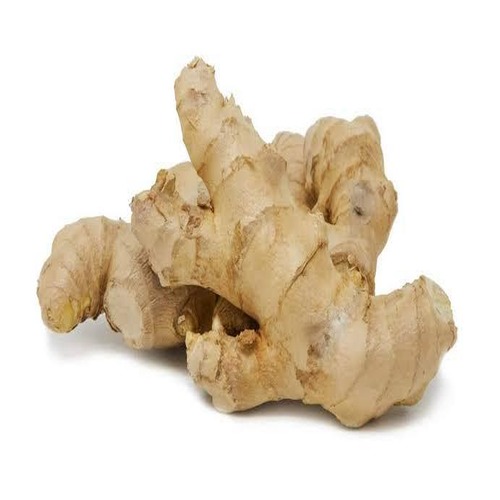 Ginger 2