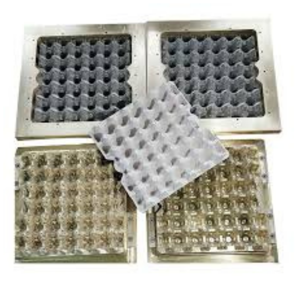 Egg Tray Mould