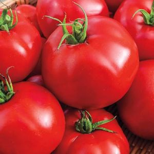 fresh-tomato