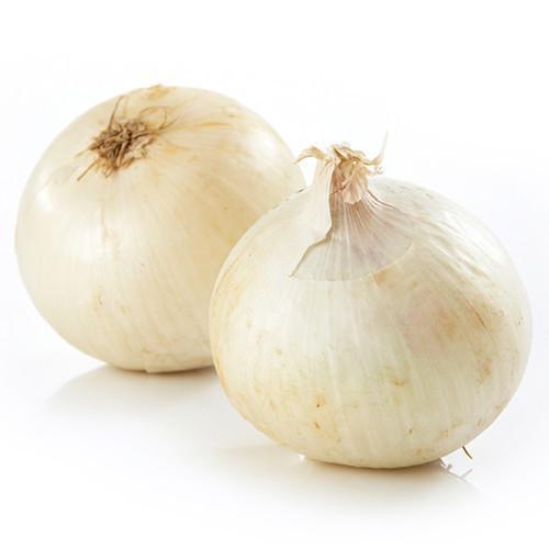 White Onion
