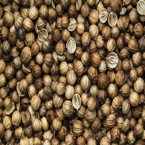 Corriander seeds
