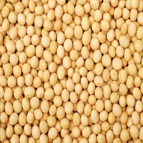 Yellow Peas