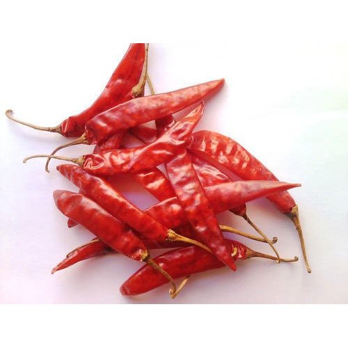 Red Chilli
