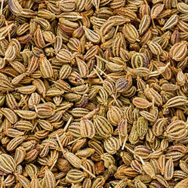 Carol seed (Ajwain)