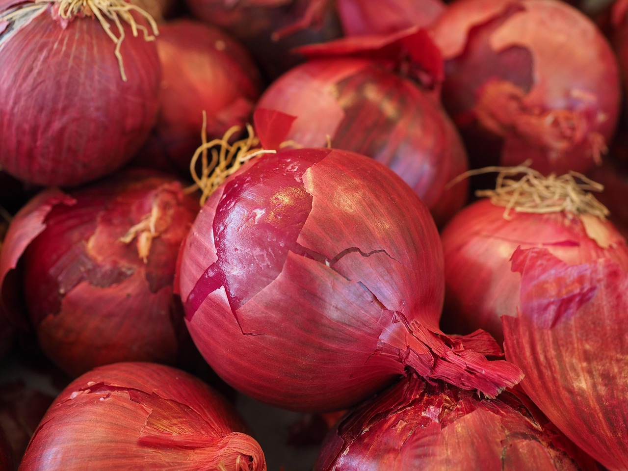 Onion Powder