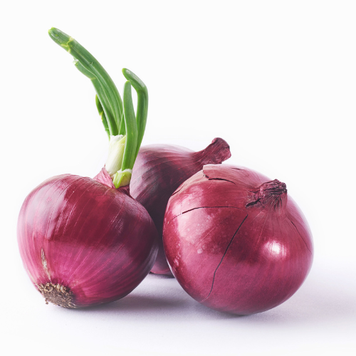 Fresh Onion 3