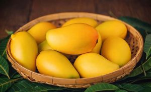 Fresh mango