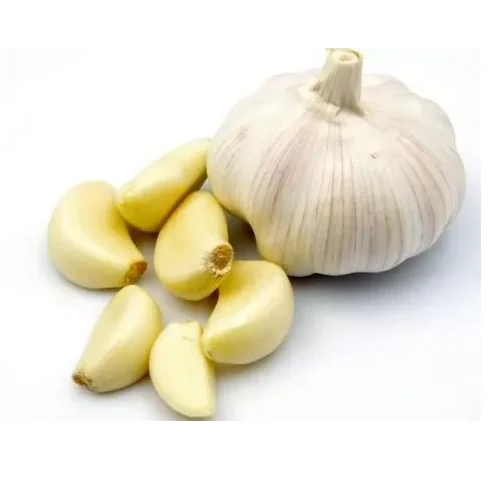 Garlic 2