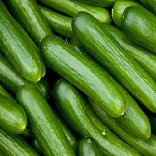 cucumbers