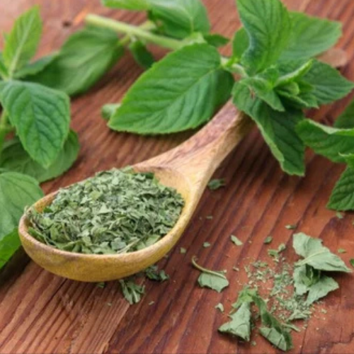 Dehydrated Mint Leaf