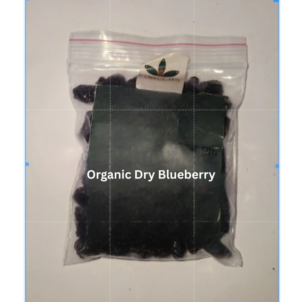 Dried Blue Berry Fruit